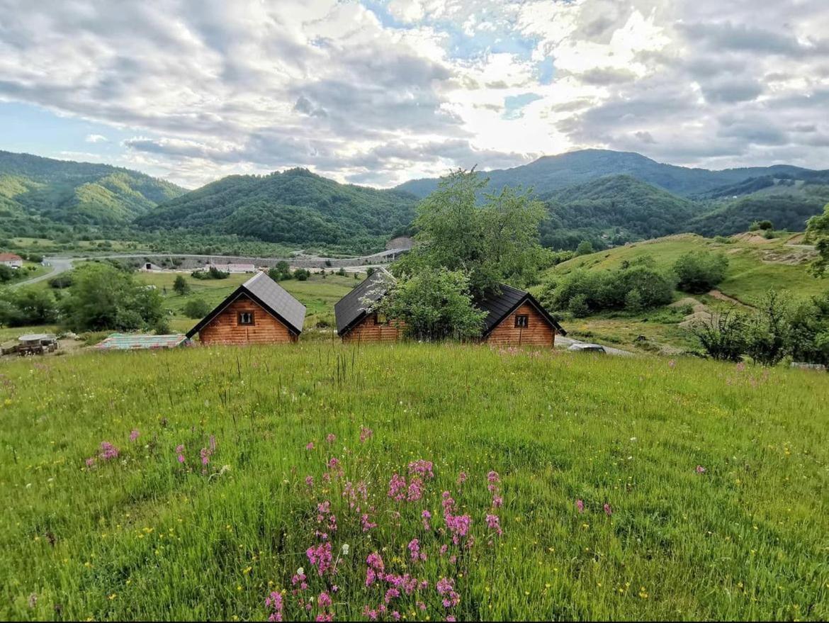 Sunny Hill Cabins Kolašin Buitenkant foto